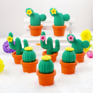 Set 5 gommine cactus
